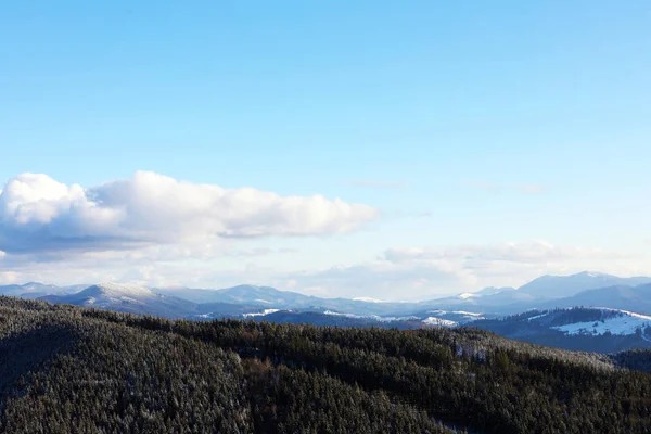 美丽的山风景与森林在阳光明媚的天在冬天 — 图库照片