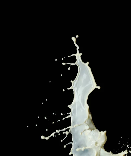 黒い背景と新鮮な牛乳のスプラッシュ — ストック写真