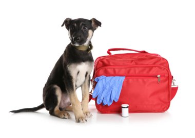 Beyaz arka plan üzerinde ilk yardım kiti ile şirin köpek yavrusu