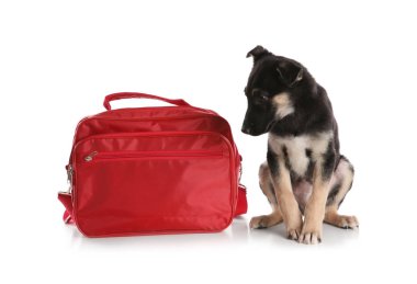 Beyaz arka plan üzerinde ilk yardım kiti ile şirin köpek yavrusu