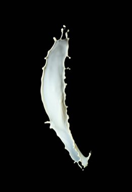 Siyah arka plan üzerine taze süt fışkırmasını