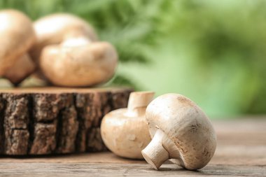 Taze champignon mantar ile arka plan bulanık, closeup üzerinde ahşap güdük