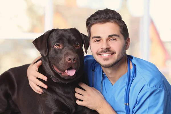 Veterinario Doc Con Perro Clínica Animales — Foto de Stock