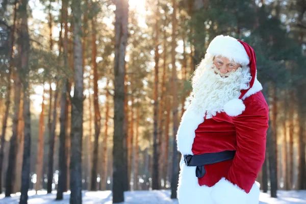 Happy Authentic Santa Claus Outdoors Space Text — Stock Photo, Image