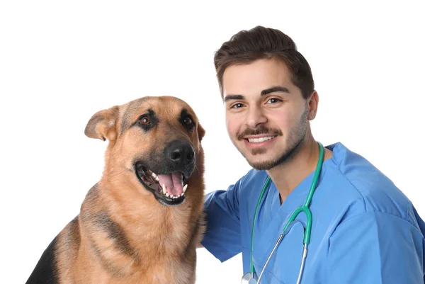 Veterinario Doc Con Perro Sobre Fondo Blanco — Foto de Stock