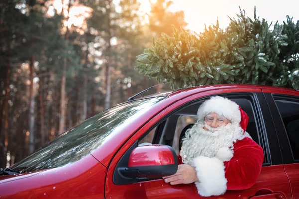 Autentica Auto Babbo Natale Con Albero Natale Vista Dall Esterno — Foto Stock