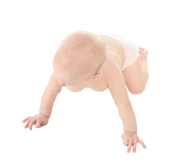 Cute Little Baby Crawling White Background Stock Image