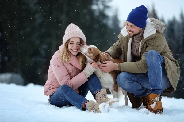 Casal Bonito Com Cão Perto Floresta Férias Inverno — Fotografia de Stock