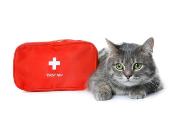 İlk yardım çantası ve beyaz arka plan üzerinde şirin kedi. Hayvan bakımı