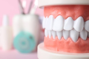 Oral kavite arka plan bulanık, closeup dişlere sahip eğitim modeli. Metin için yer