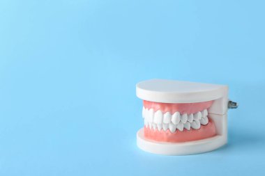 Oral kavite renk arka plan dişlere sahip eğitim modeli