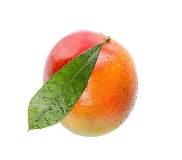 Läckra Mogen Mango Vit Bakgrund Tropisk Frukt — Stockfoto