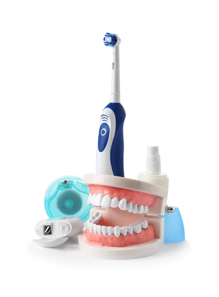Composition Model Oral Cavity Dental Care Items White Background Healthy — Stock Photo, Image