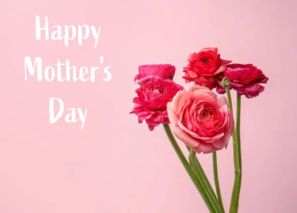 Hermosas Flores Ranúnculo Texto Feliz Día Madre Sobre Fondo Rosa — Foto de Stock