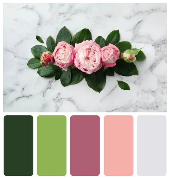 Composición Laica Plana Hermosas Rosas Sobre Fondo Mármol Paleta Colores — Foto de Stock