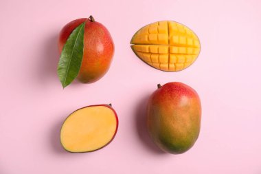 Renk arka plan üzerinde olgun mango ile düz yatıyordu kompozisyon