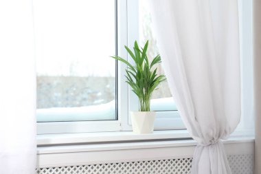 Window with open curtains and houseplant on sill clipart