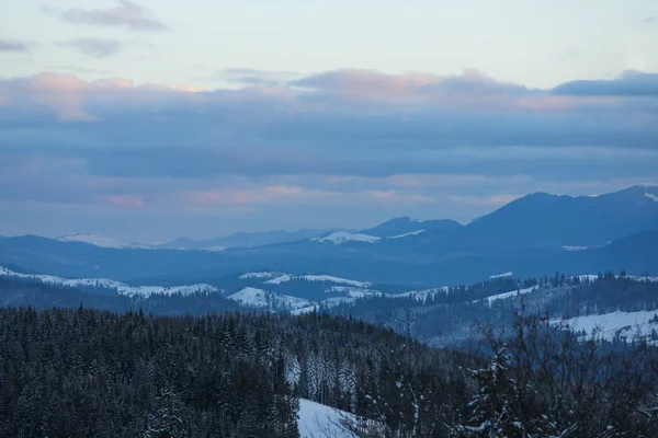 冬の林の美しい山の風景 — ストック写真