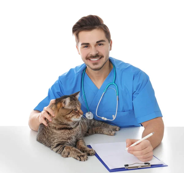 Veterinario Doc Con Perro Sobre Fondo Color — Foto de Stock