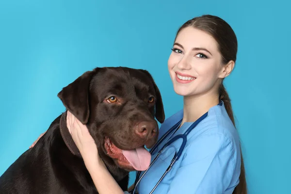 Dierenarts Doc Met Hond Dierlijke Kliniek — Stockfoto