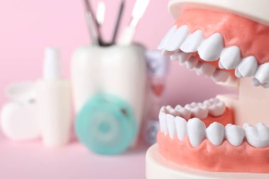 Oral kavite arka plan bulanık, closeup dişlere sahip eğitim modeli. Metin için yer