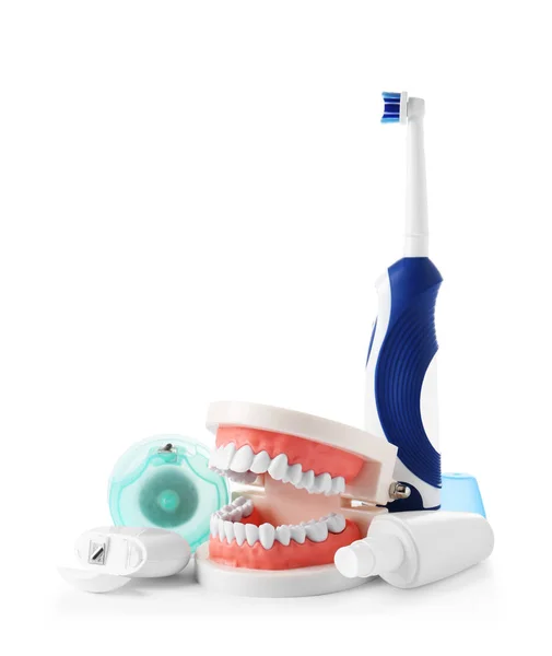 Composição Com Modelo Cavidade Oral Itens Cuidados Odontológicos Fundo Branco — Fotografia de Stock