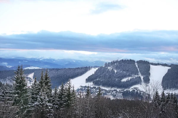 森林と美しい山の風景 冬の休暇 — ストック写真