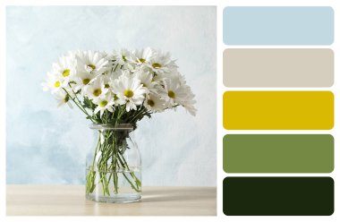 Güzel papatya çiçeği aranjman açık renkli karşı masada. Renk paleti