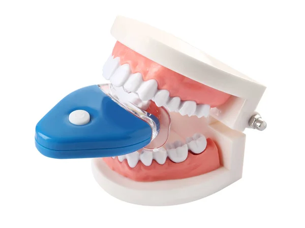 Educational Model Oral Cavity Teeth Bleaching Device White Background — Stock Photo, Image