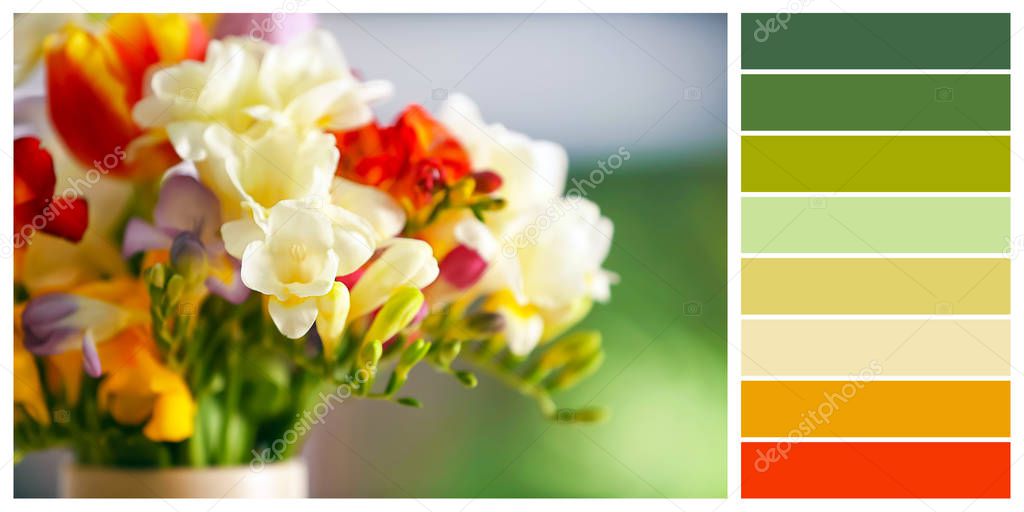 Beautiful freesia flowers on blurred background. Color palette