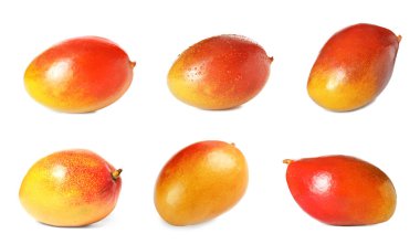 Beyaz arka plan üzerinde Bütün Konfit Mango kümesi