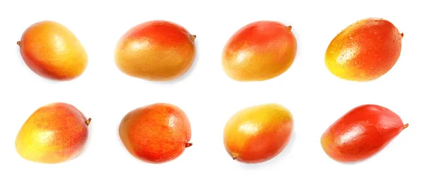 Set Vollreifer Mangos Auf Weißem Hintergrund Flach Gelegt — Stockfoto