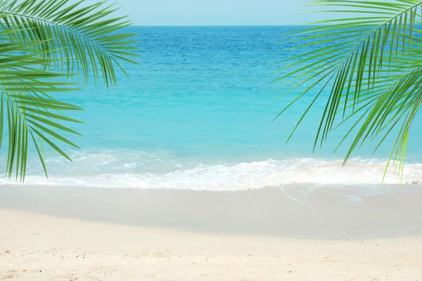 Playa Del Océano Arenoso Hojas Palma Tropical Día Soleado — Foto de Stock