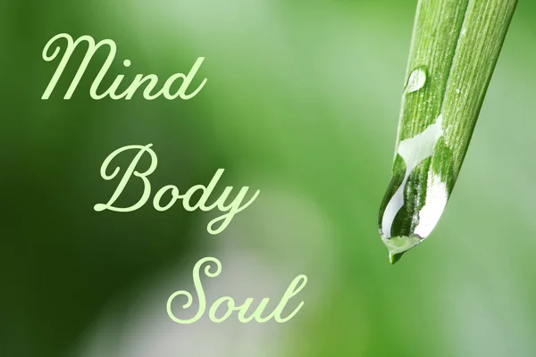 Wassertropfen Auf Grünem Blatt Und Text Geist Körper Seele Vor — Stockfoto