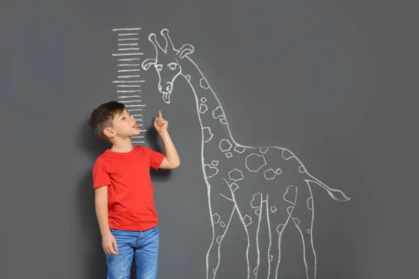 灰色の背景上の高さを測定しながらチョーク描画キリンと遊ぶかわいい小さな子供 — ストック写真