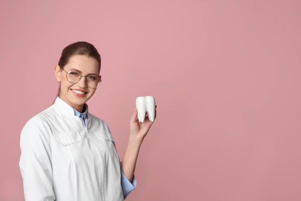 Dentista Femenina Sosteniendo Modelo Diente Sobre Fondo Color Espacio Para —  Fotos de Stock