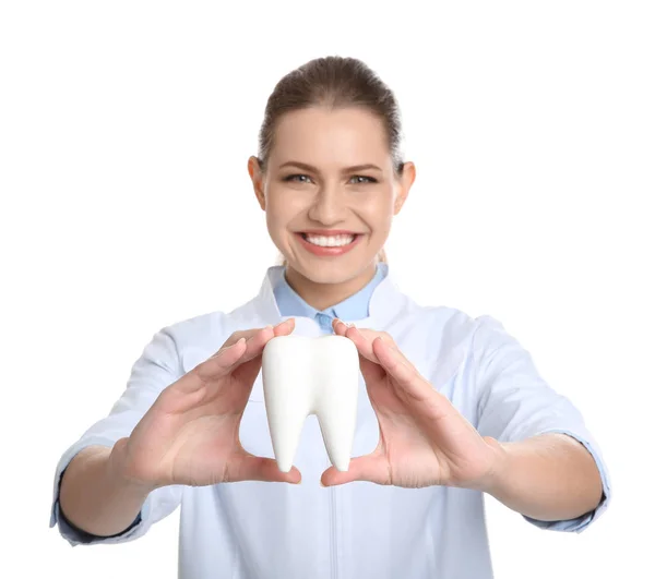 Dentista Feminino Segurando Modelo Dente Fundo Branco — Fotografia de Stock