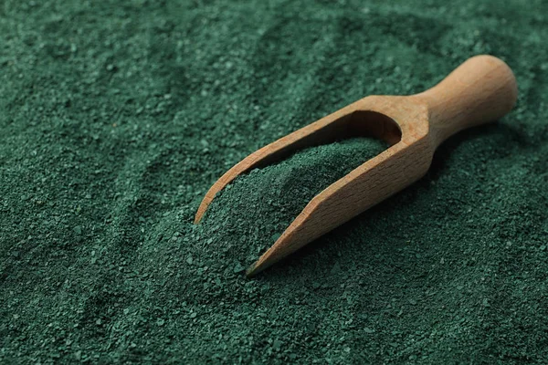 Kugel Spirulina Auf Grünalgenpulver Raum Für Text — Stockfoto