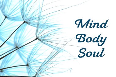 Karahindiba tohum ve metin zihin, beden, ruh renk arka plan, closeup üzerinde. Zen uygulama