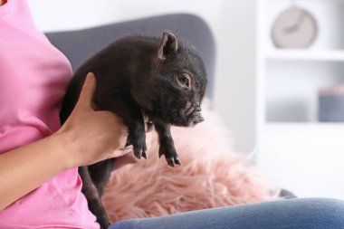 Kadın kanepe evde, portre sevimli mini domuzla