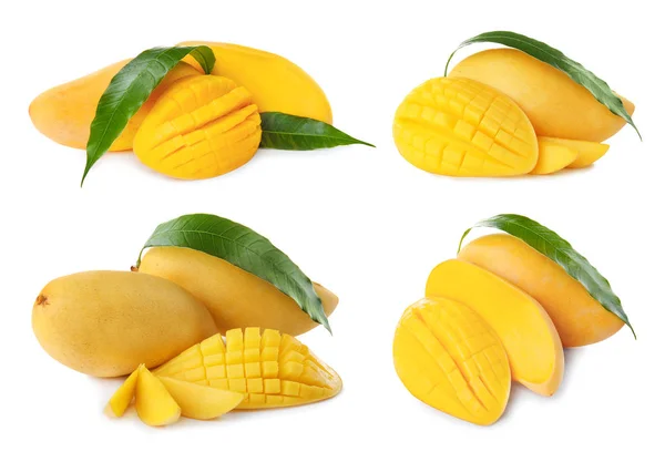 Conjunto Deliciosos Mangos Maduros Sobre Fondo Blanco — Foto de Stock