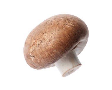 Taze champignon mantar beyaz izole. Sağlıklı gıda