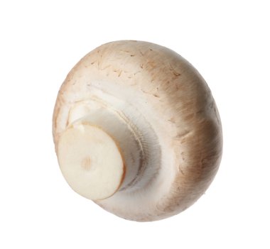 Taze champignon mantar beyaz izole. Sağlıklı gıda