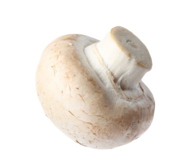 Taze champignon mantar beyaz izole. Sağlıklı gıda