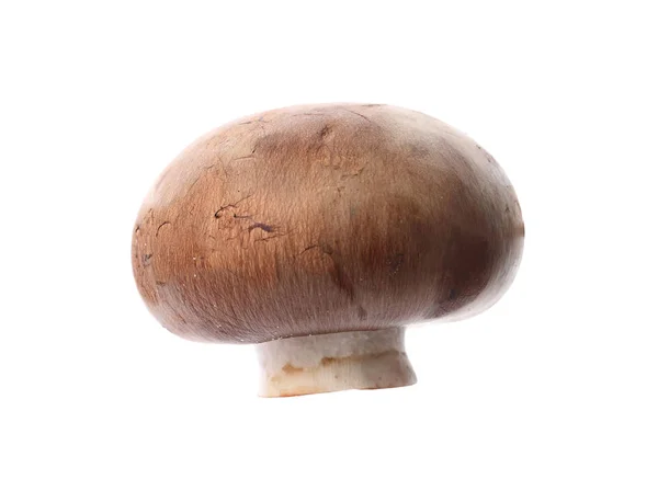 Cogumelo Champignon Fresco Isolado Branco Alimentos Saudáveis — Fotografia de Stock