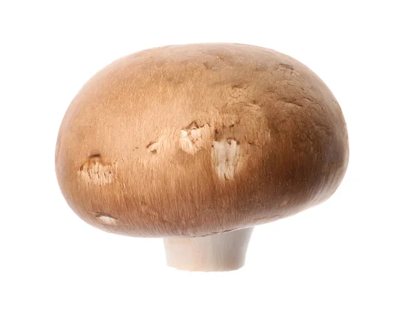 Fungo Champignon Fresco Isolato Bianco Cibo Sano — Foto Stock