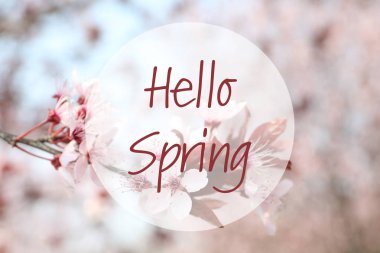 Çiçek çiçek ve metin arka plan bulanık Merhaba Bahar şube