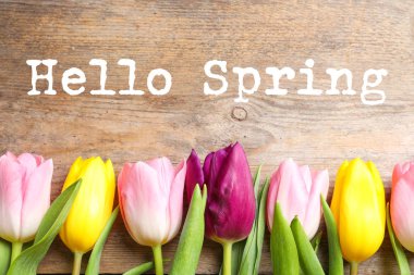 Güzel çiçek ve ahşap arka plan üzerinde metin Merhaba Bahar düz yatıyordu kompozisyon