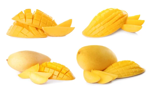 Set Von Köstlichen Reifen Mangos Auf Weißem Hintergrund — Stockfoto