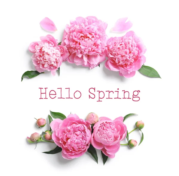 Flat Lay Composition Beautiful Peony Flowers Text Hello Spring White — Stock Photo, Image